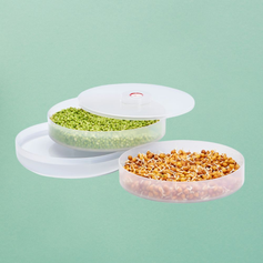 Sprout Diet